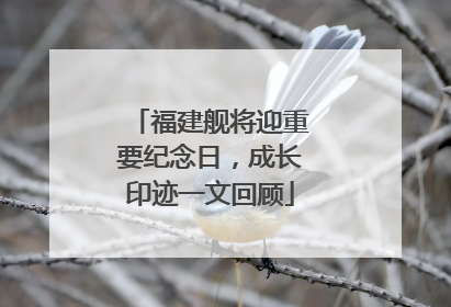 福建舰将迎重要纪念日，成长印迹一文回顾