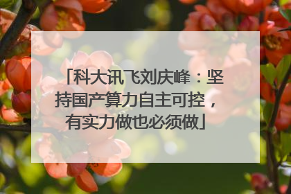 科大讯飞刘庆峰：坚持国产算力自主可控，有实力做也必须做