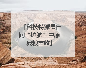 科技特派员田间“护航”中原夏粮丰收