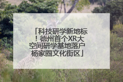 科技研学新地标！德州首个XR大空间研学基地落户杨家圈文化街区