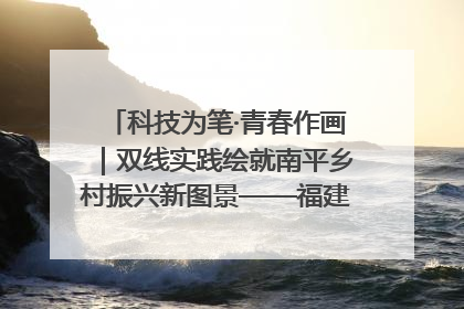 科技为笔·青春作画｜双线实践绘就南平乡村振兴新图景——福建农林大学金山学院青年学子以智慧与科技激活乡村发展新动能