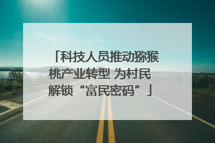 科技人员推动猕猴桃产业转型 为村民解锁“富民密码”