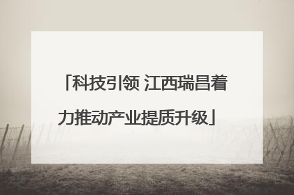 科技引领 江西瑞昌着力推动产业提质升级
