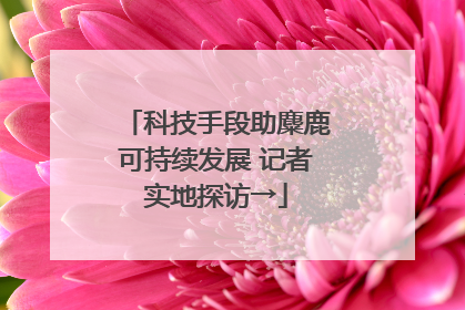 科技手段助麋鹿可持续发展 记者实地探访→