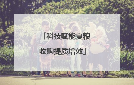 科技赋能夏粮收购提质增效