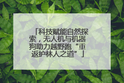 科技赋能自然探索，无人机与机器狗助力越野跑“重返护林人之道”