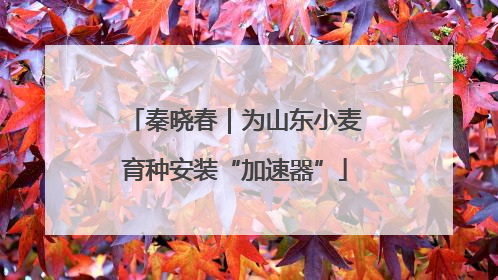 秦晓春｜为山东小麦育种安装“加速器”