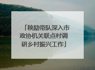 秧励带队深入市政协机关联点村调研乡村振兴工作