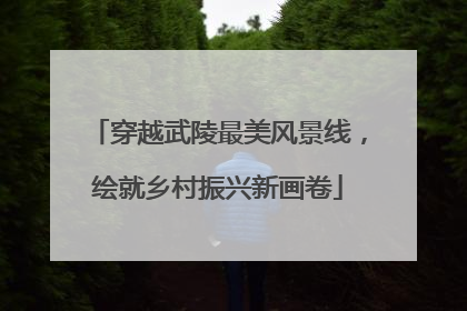 穿越武陵最美风景线，绘就乡村振兴新画卷