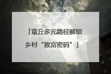 章丘多元路径解锁乡村“致富密码”