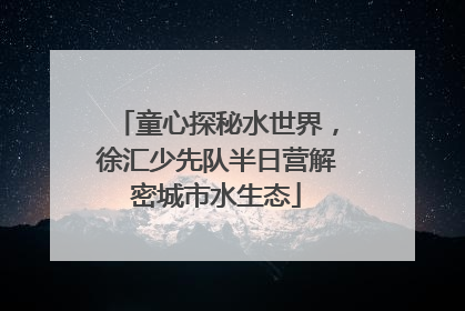 童心探秘水世界，徐汇少先队半日营解密城市水生态