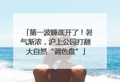 第一波睡莲开了！暑气渐浓，沪上公园打翻大自然“调色盘”