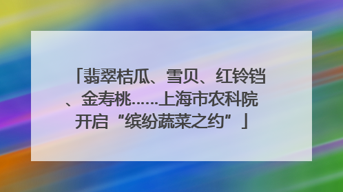 翡翠桔瓜、雪贝、红铃铛、金寿桃……上海市农科院开启“缤纷蔬菜之约”