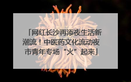 网红长沙再添夜生活新潮流！中医药文化流动夜市青年专场“火”起来