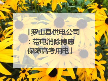 罗山县供电公司：带电消除隐患 保障高考用电