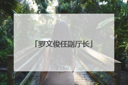 罗文俊任副厅长