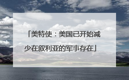 美特使：美国已开始减少在叙利亚的军事存在