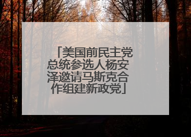 美国前民主党总统参选人杨安泽邀请马斯克合作组建新政党