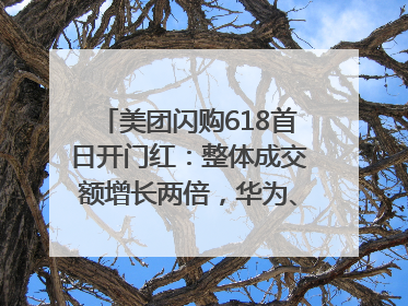 美团闪购618首日开门红：整体成交额增长两倍，华为、Apple、沃尔玛等近800个品牌翻倍增长