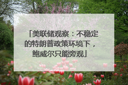 美联储观察：不稳定的特朗普政策环境下，鲍威尔只能旁观