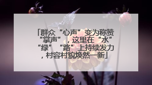 群众“心声”变为称赞“掌声”，这里在“水”“绿”“路”上持续发力，村容村貌焕然一新