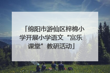 绵阳市游仙区梓棉小学开展小学语文“富乐课堂”教研活动