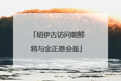 绍伊古访问朝鲜 将与金正恩会面