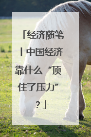 经济随笔丨中国经济靠什么“顶住了压力”？