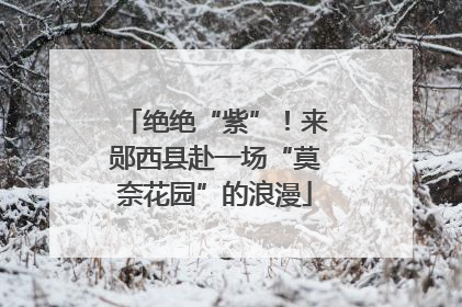 绝绝“紫”！来郧西县赴一场“莫奈花园”的浪漫
