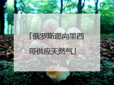 俄罗斯愿向墨西哥供应天然气