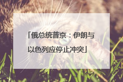 俄总统普京：伊朗与以色列应停止冲突