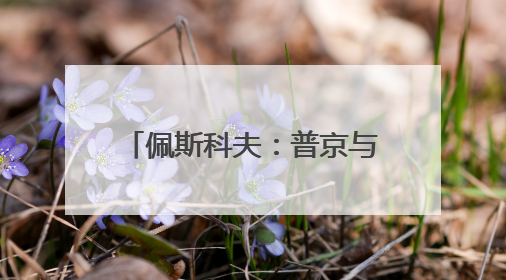 佩斯科夫：普京与特朗普尚未就会面事宜达成任何协议