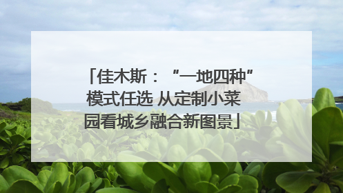 佳木斯：“一地四种” 模式任选 从定制小菜园看城乡融合新图景