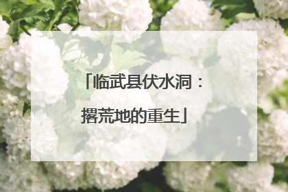 临武县伏水洞:撂荒地的重生