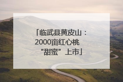 临武县黄皮山：2000亩红心桃“甜蜜”上市