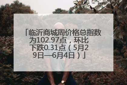 临沂商城周价格总指数为102.97点，环比下跌0.31点（5月29日—6月4日）