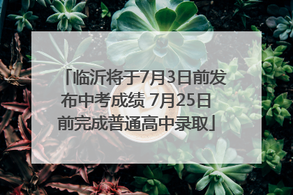 临沂将于7月3日前发布中考成绩 7月25日前完成普通高中录取