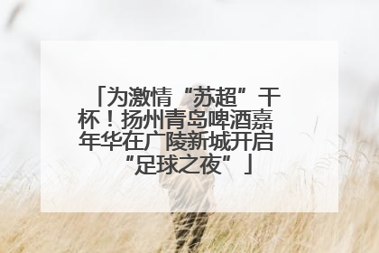 为激情“苏超”干杯！扬州青岛啤酒嘉年华在广陵新城开启“足球之夜”