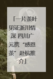一片茶叶见证浙川情深 四川广元携“感恩茶”赴杭推介