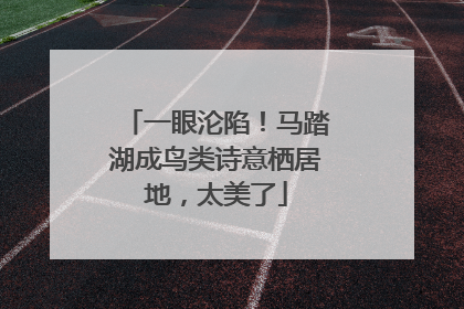 一眼沦陷！马踏湖成鸟类诗意栖居地，太美了