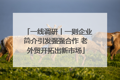 一线调研丨一则企业简介引发强强合作 老外贸开拓出新市场