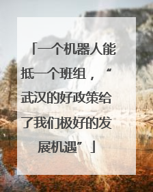 一个机器人能抵一个班组，“武汉的好政策给了我们极好的发展机遇”