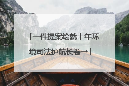 一件提案绘就十年环境司法护航长卷→