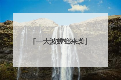 一大波螳螂来袭
