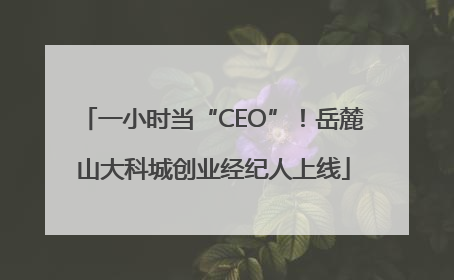 一小时当“CEO”！岳麓山大科城创业经纪人上线