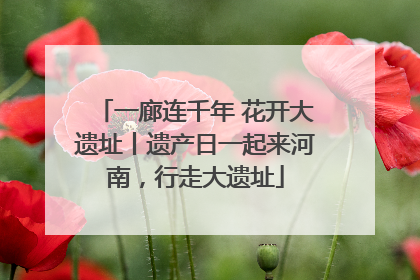 一廊连千年 花开大遗址丨遗产日一起来河南，行走大遗址