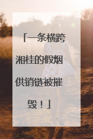 一条横跨湘桂的假烟供销链被摧毁！