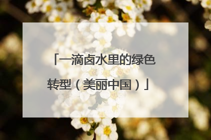 一滴卤水里的绿色转型（美丽中国）