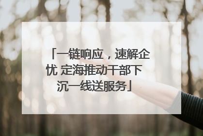 一链响应，速解企忧 定海推动干部下沉一线送服务
