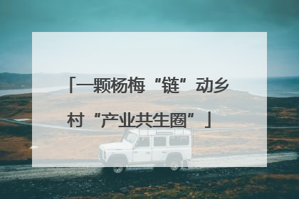 一颗杨梅“链”动乡村“产业共生圈”